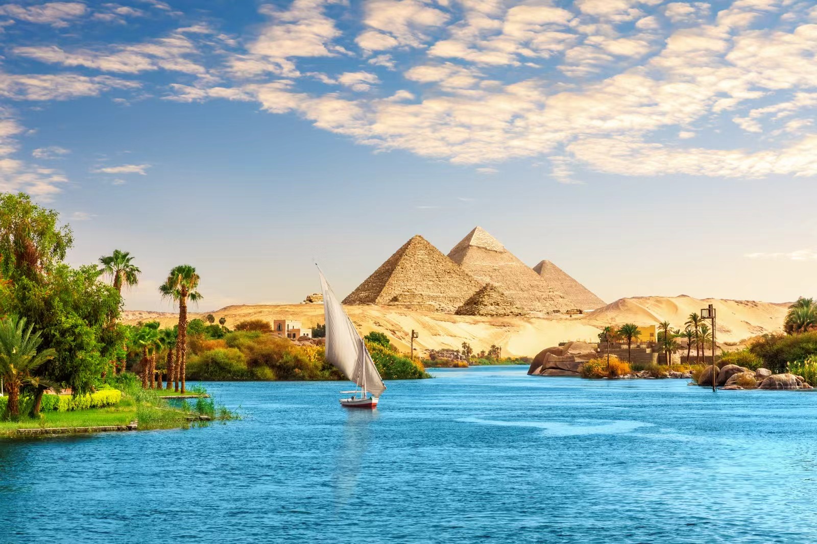 Fly from Cairo to Aswan & Embark on a Nile Cruise