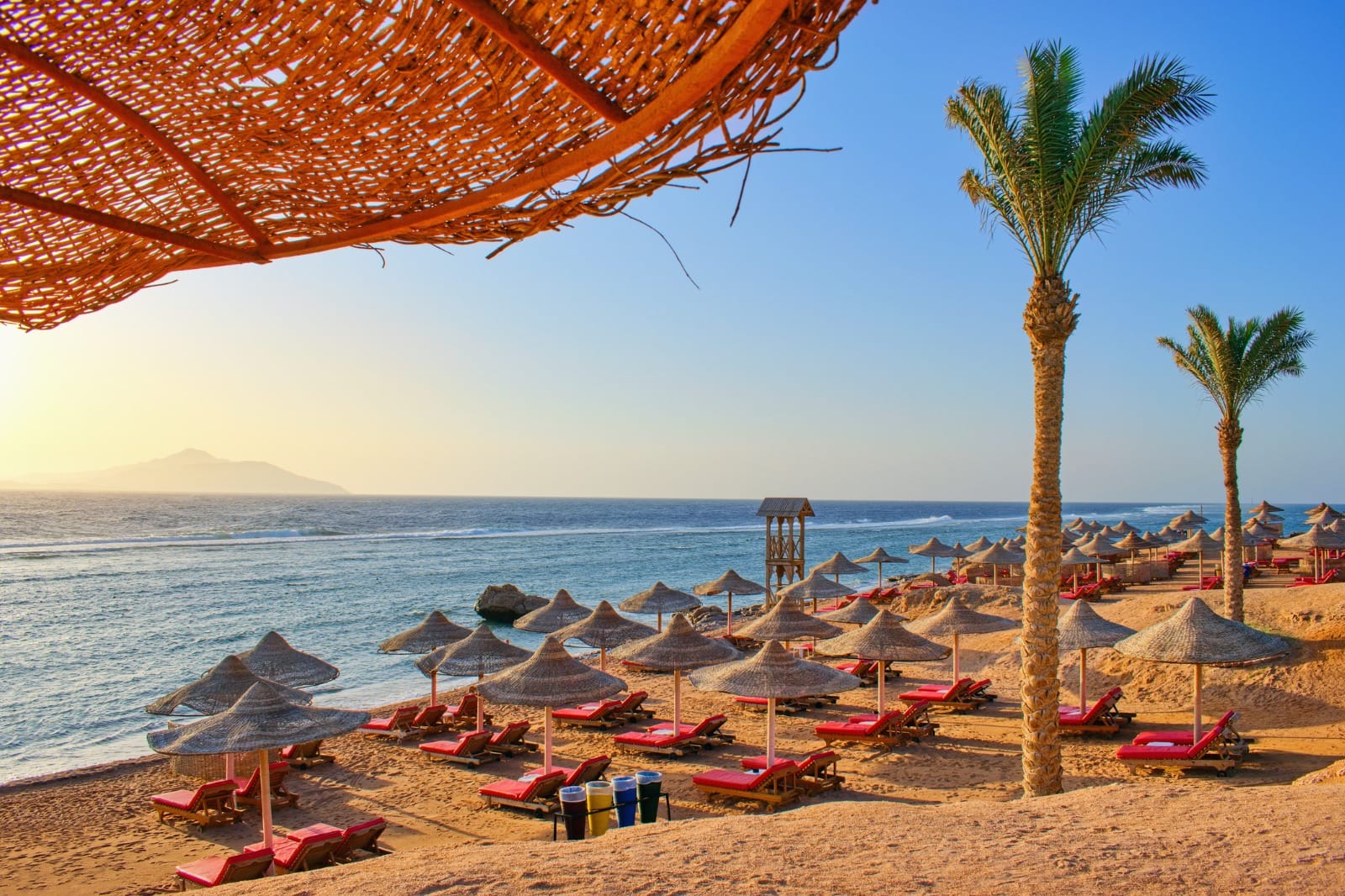 Disembark in Luxor & Drive to Hurghada