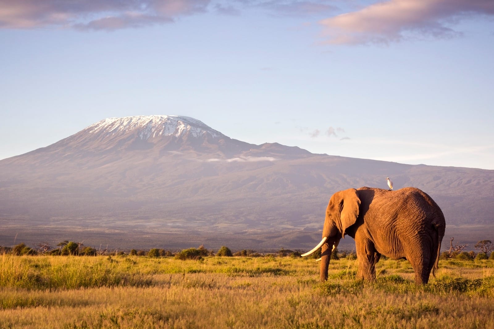 Lake Naivasha to Nairobi to Amboseli National Park