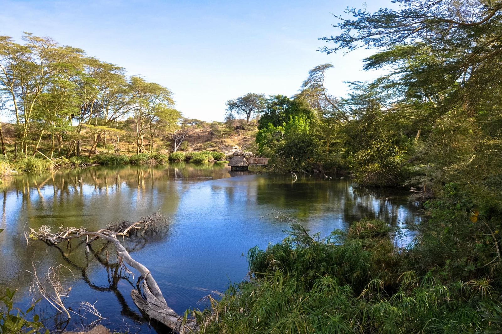 Tsavo West National Park