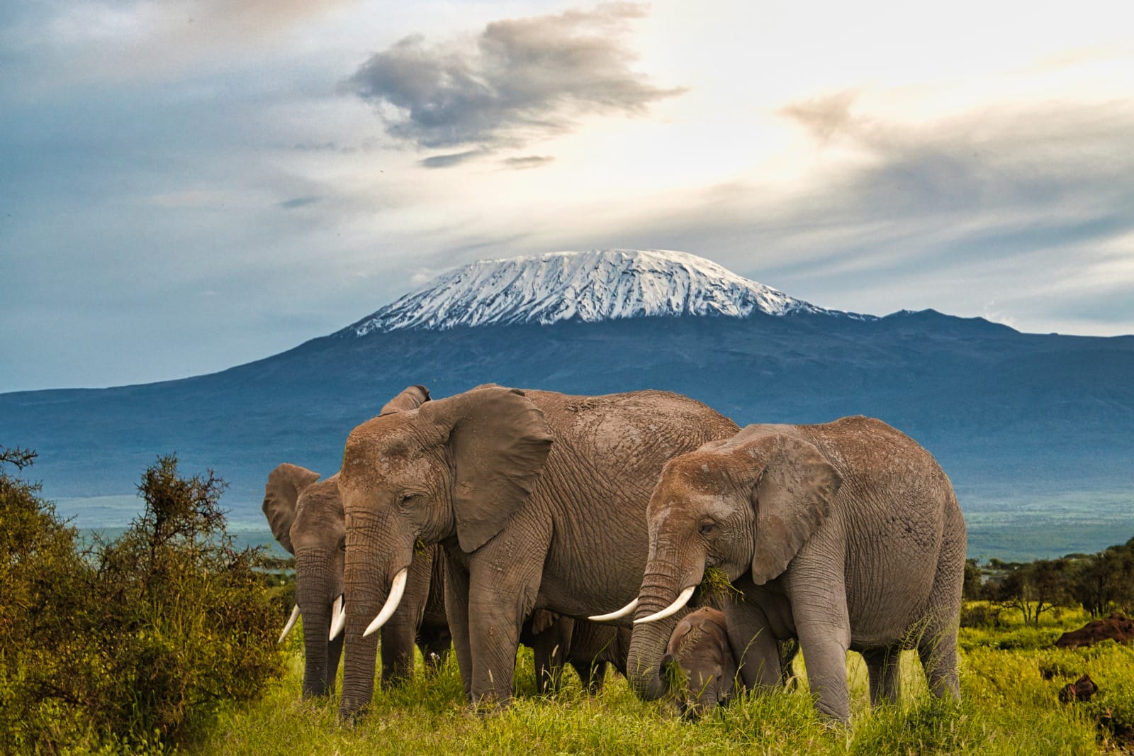 Nairobi to Amboseli National Park