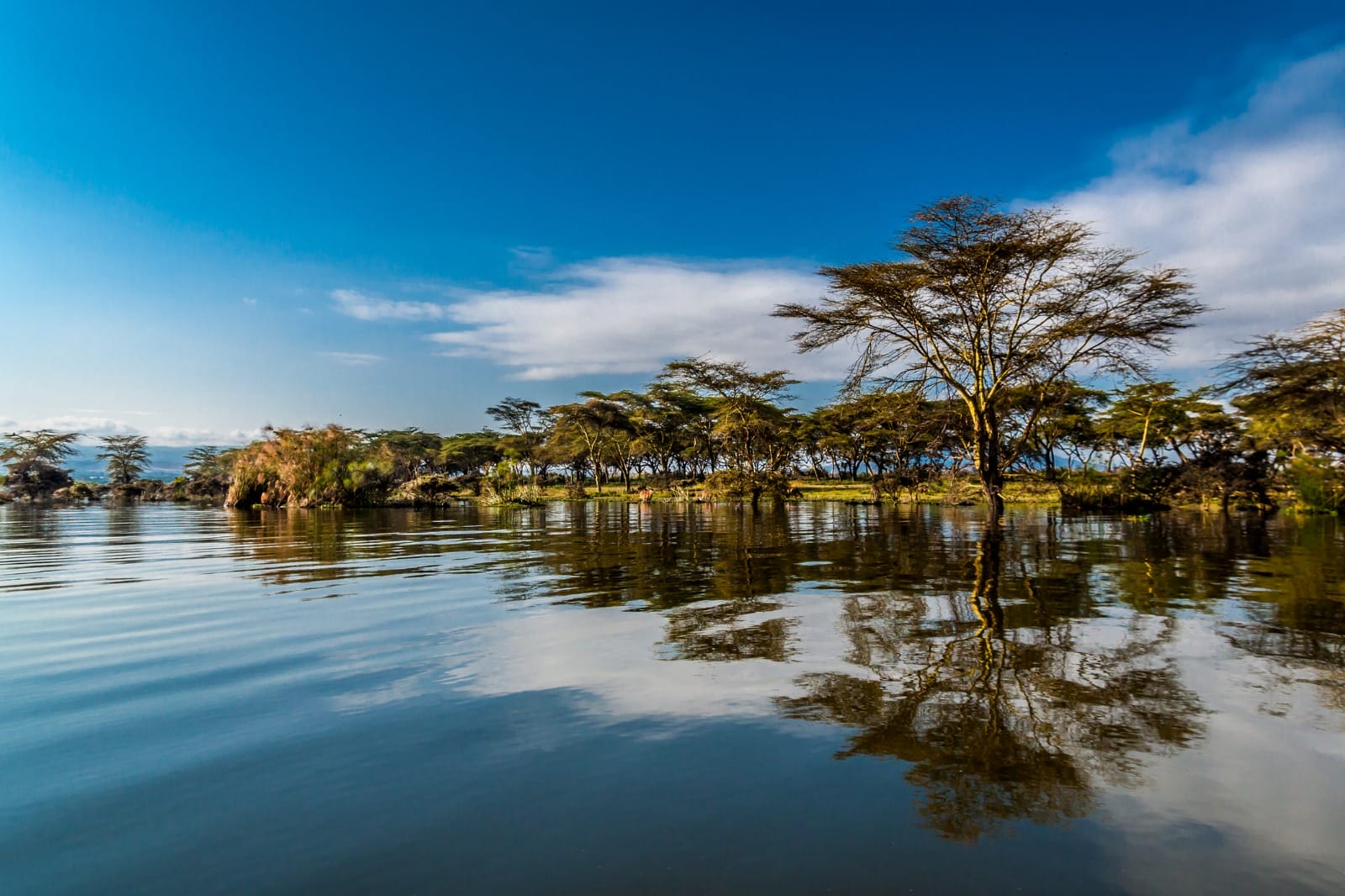 Amboseli National Park to Lake Naivasha
