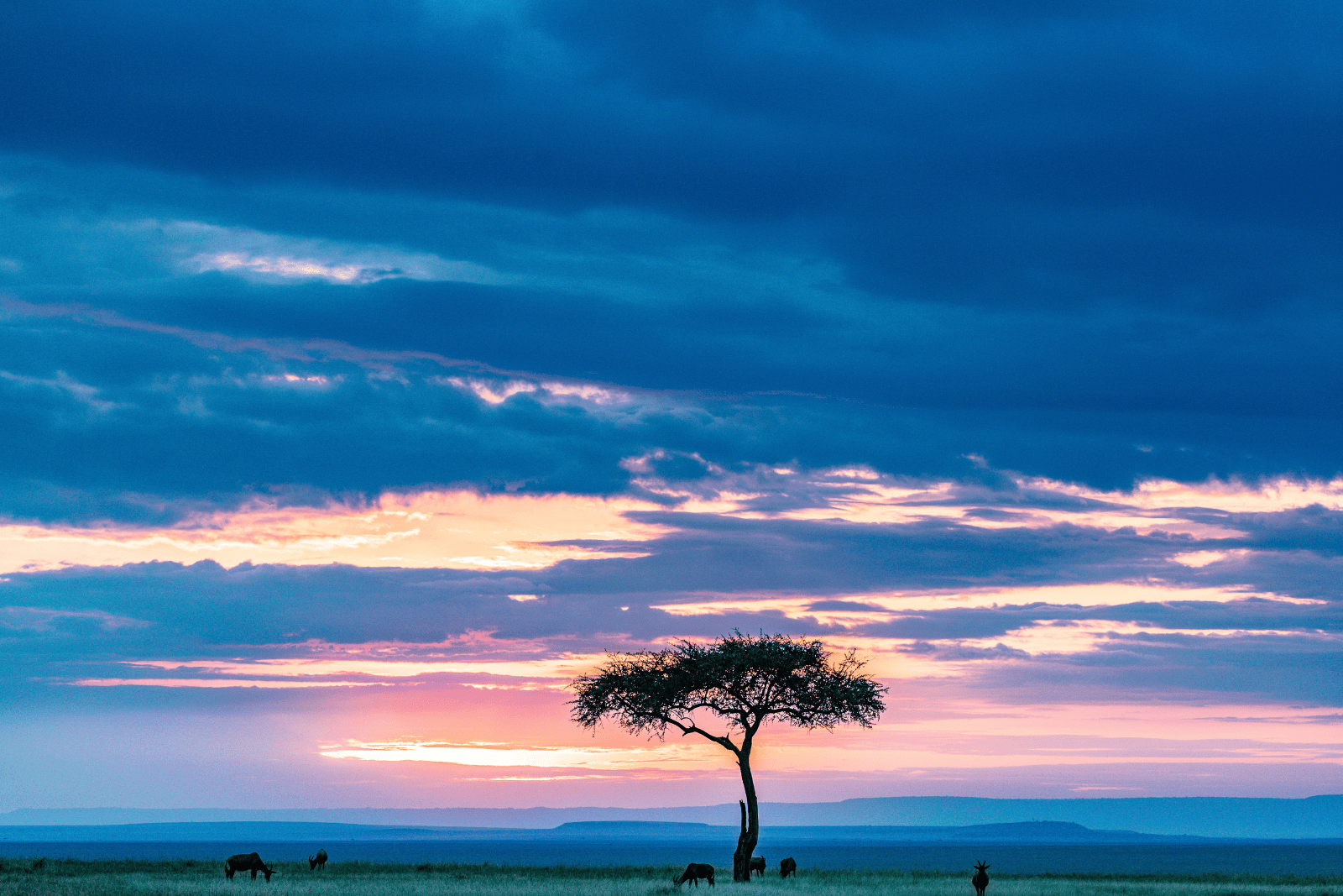 Maasai Mara