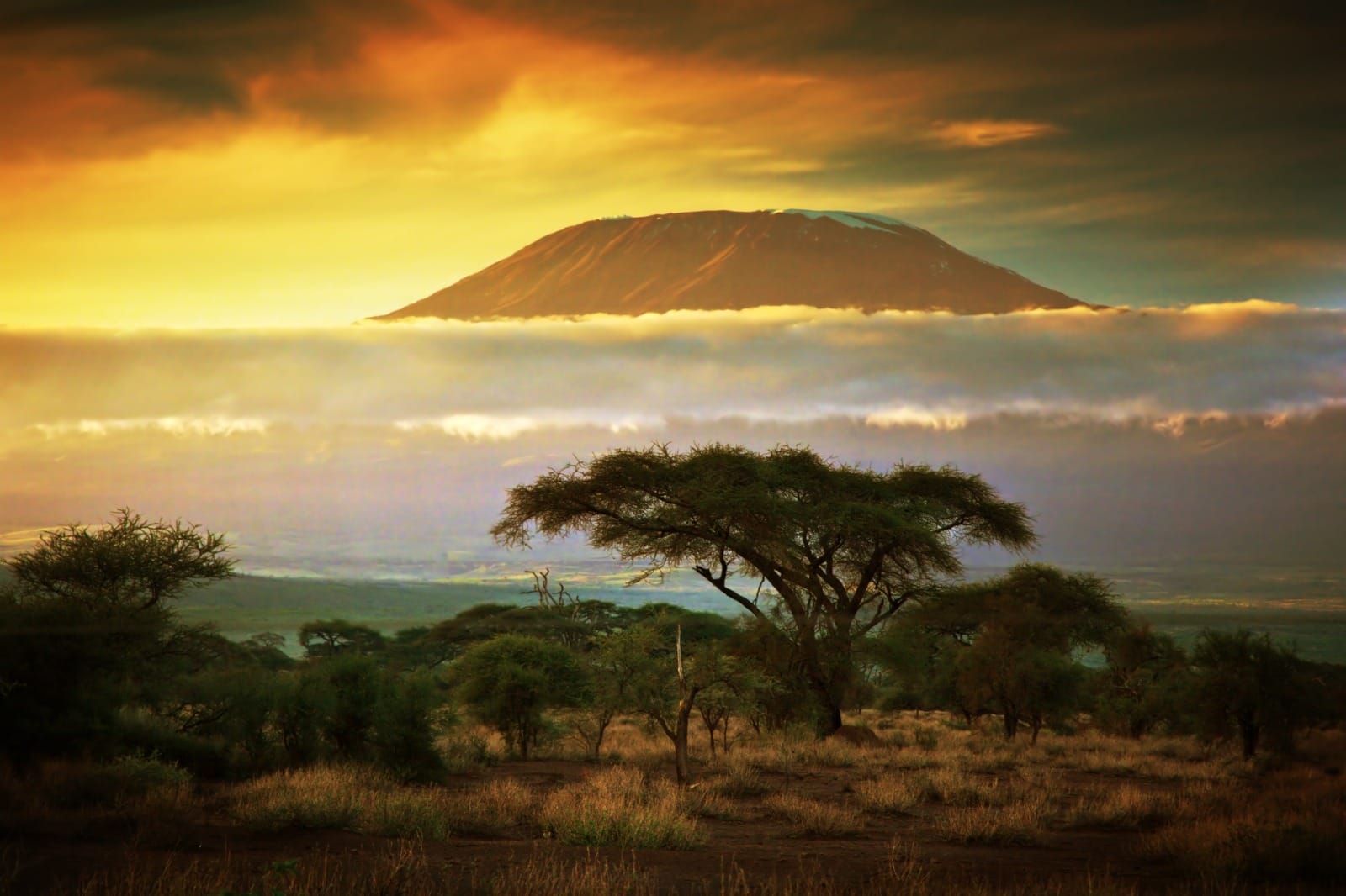 Amboseli National Park