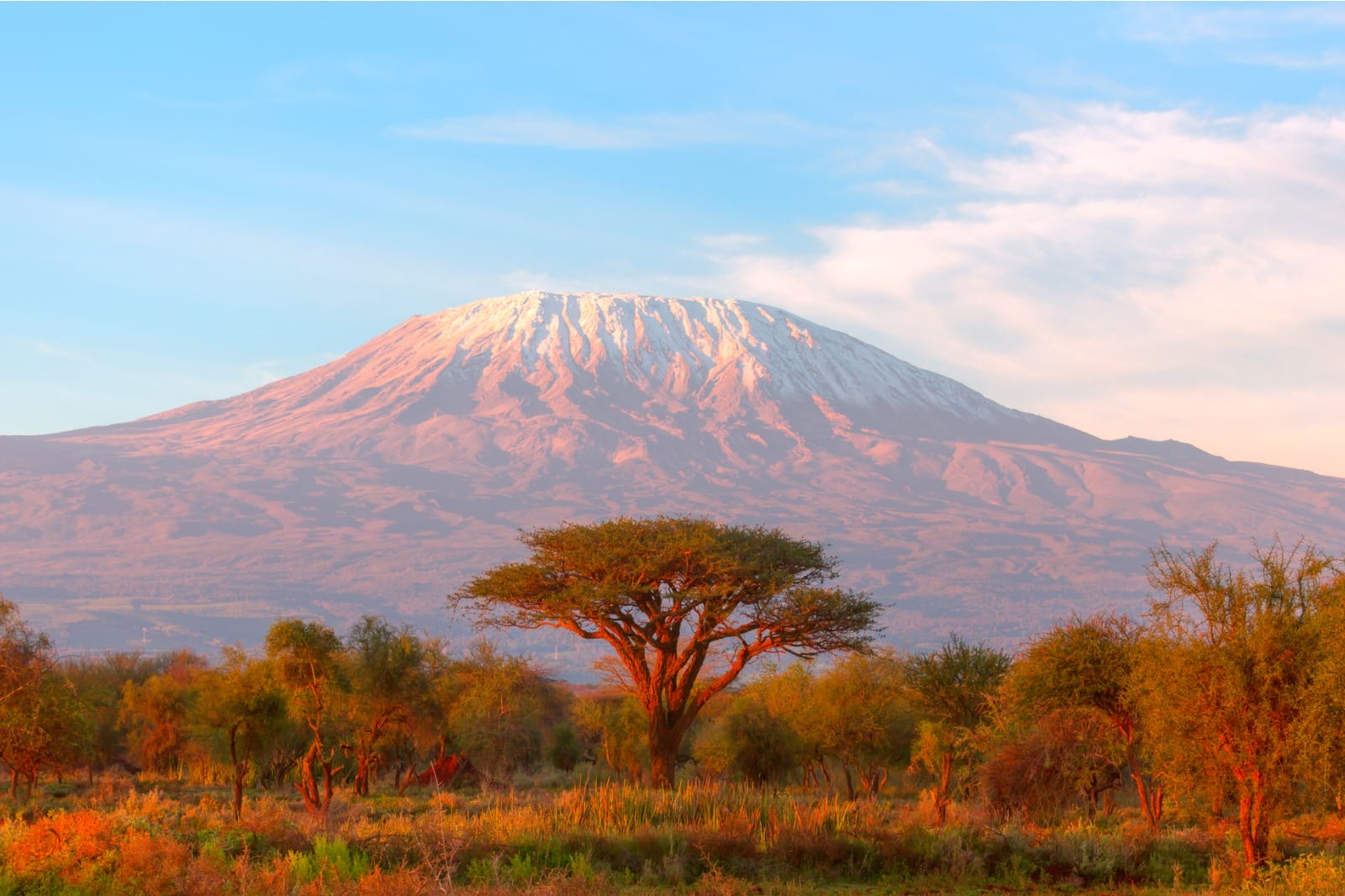 A Classic Kenya Safari