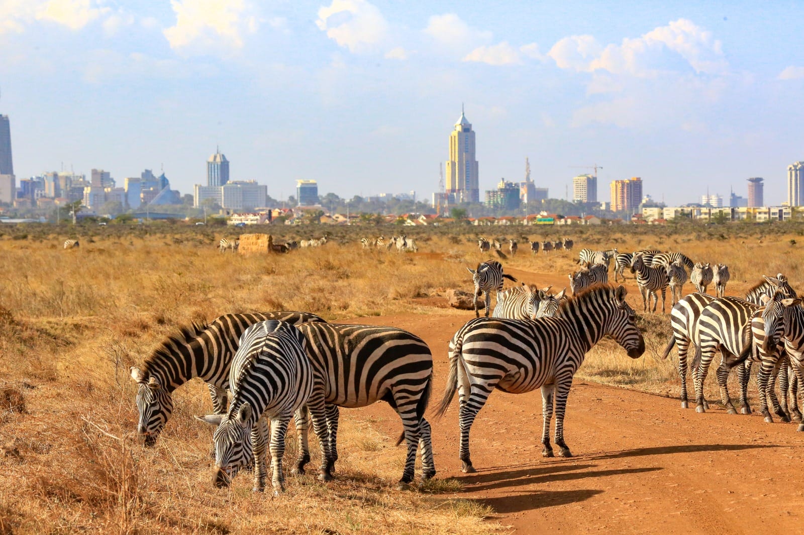 Arrive in Nairobi