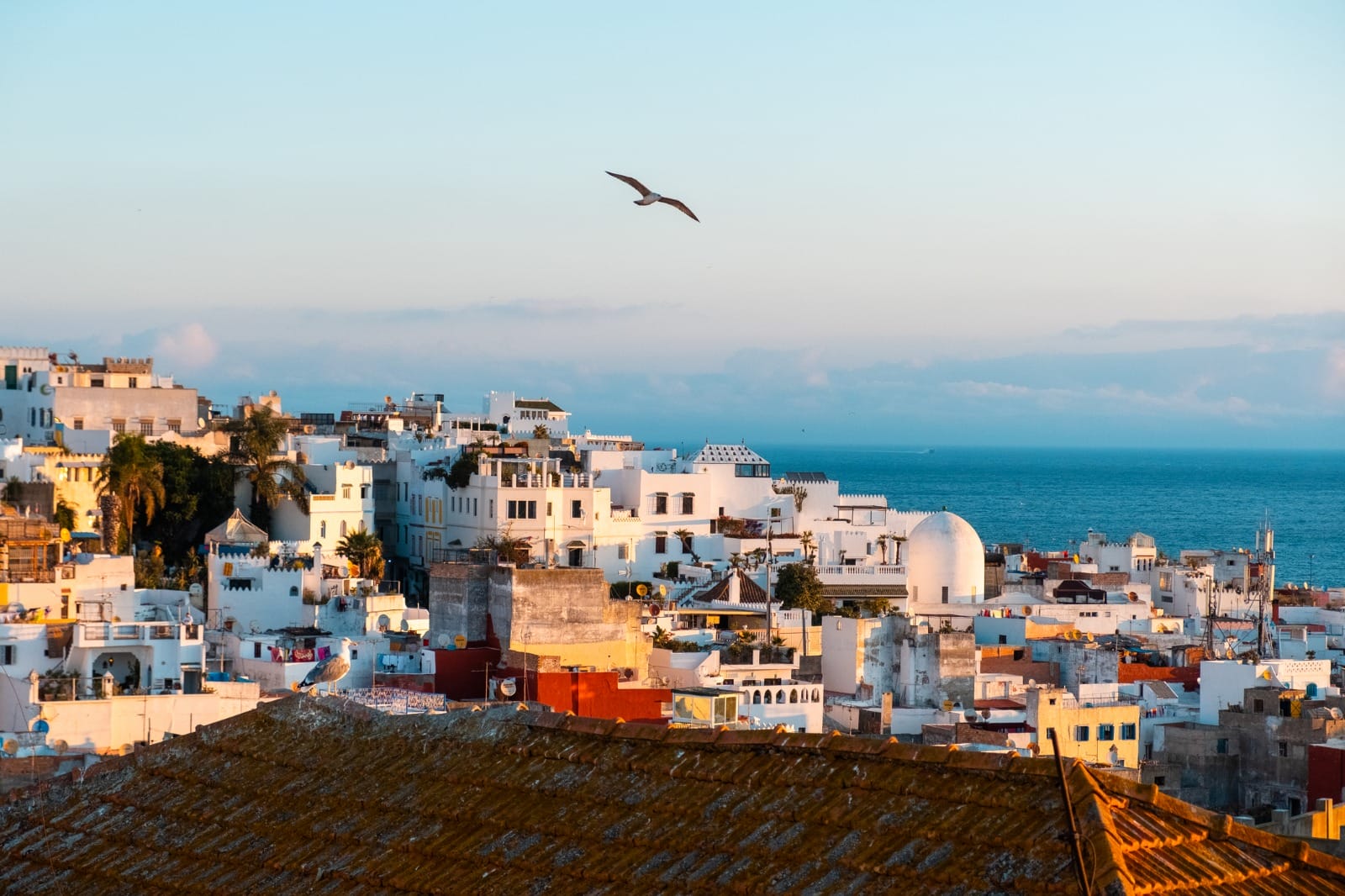 Casablanca to Rabat to Asilah to Tangier