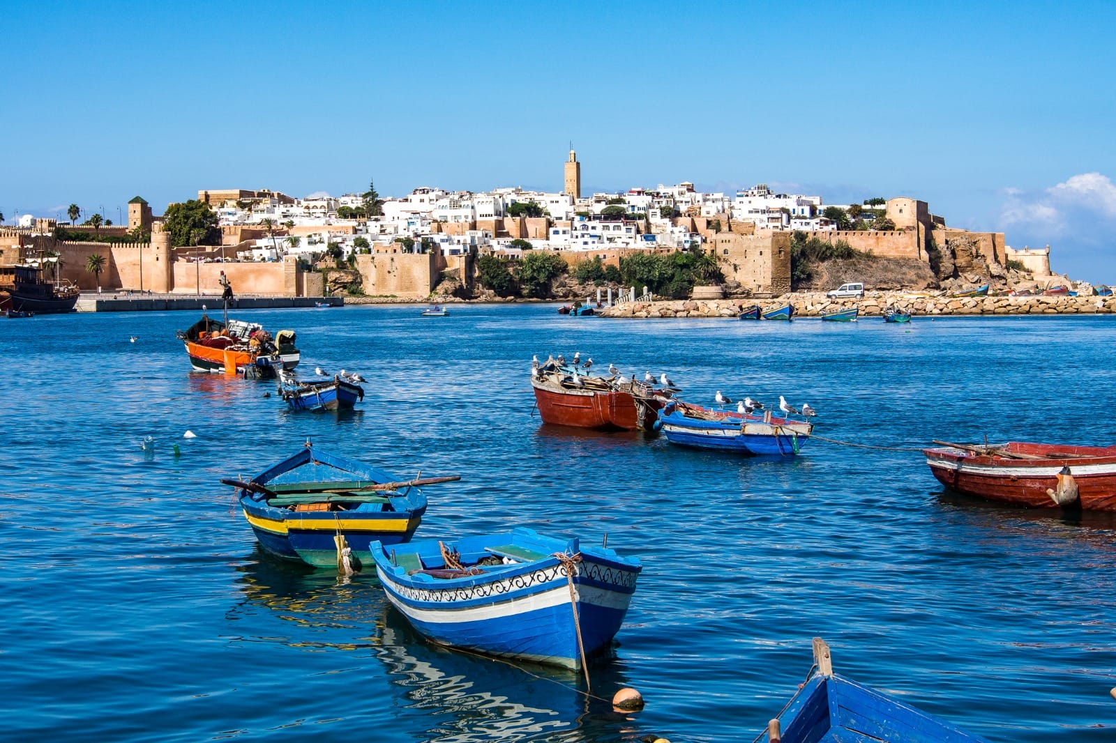 Casablanca to Rabat to Volubilis to Meknes to Fes