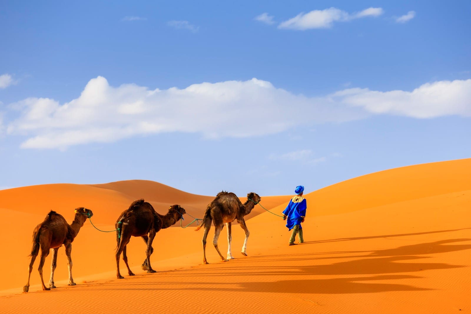 Tales of Tunisia & Morocco: A North African Tale