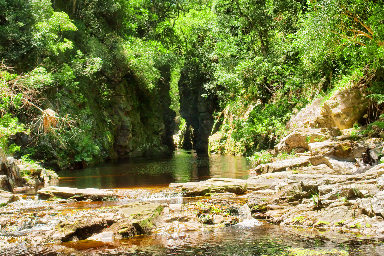 Eastern Cape Coast to Tsitsikamma