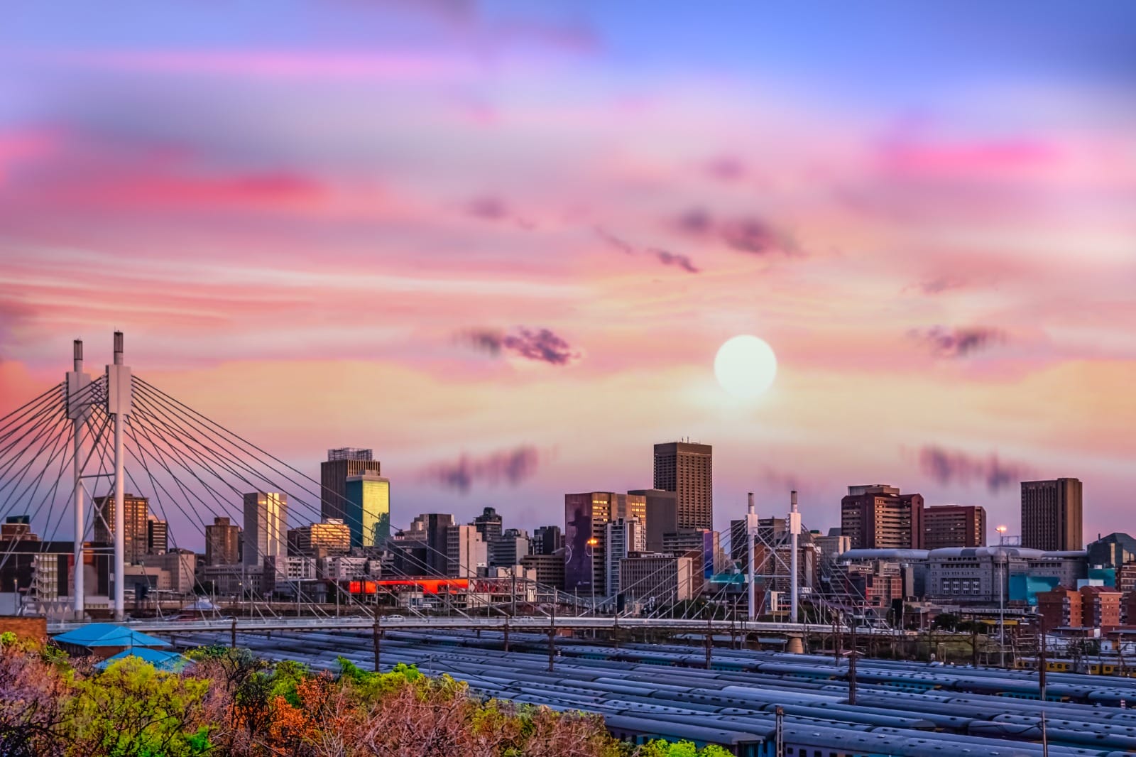 Arrive in Johannesburg