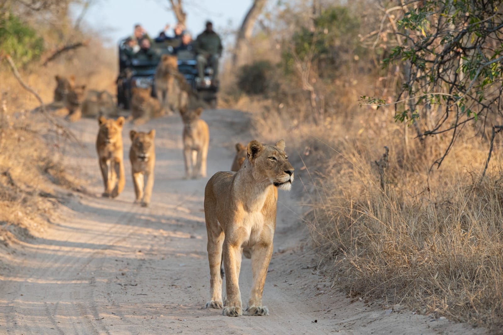 Kruger National Park