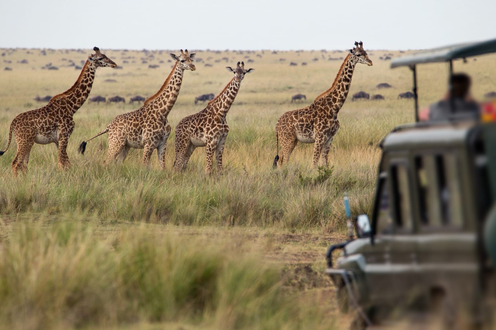 Serengeti National Park