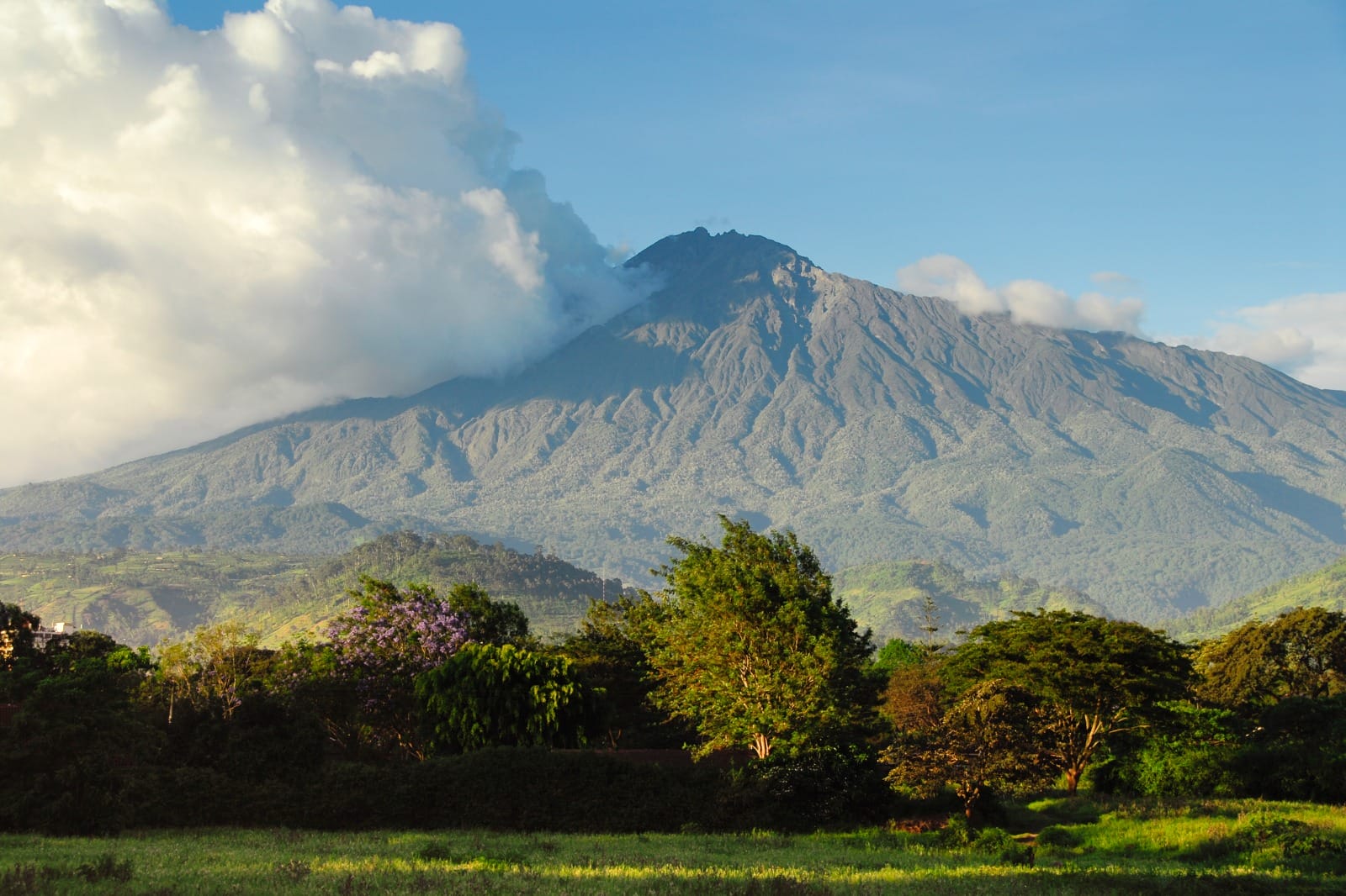 Ngogongoro Conservation Area to Arusha