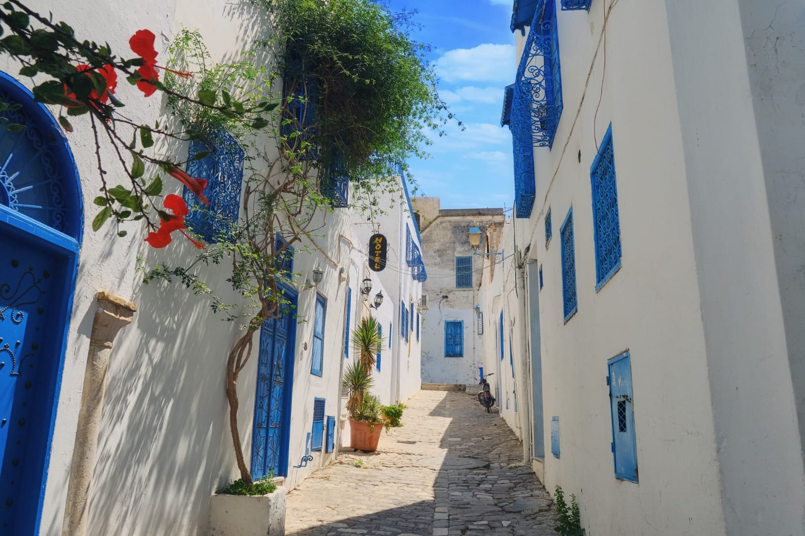 Sousse to Carthage to Sidi Bou Said to Tunis