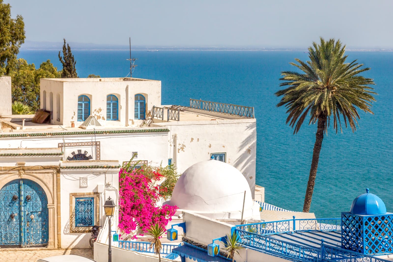 Tales of Tunisia: Carthage, Oases, and the Sahara