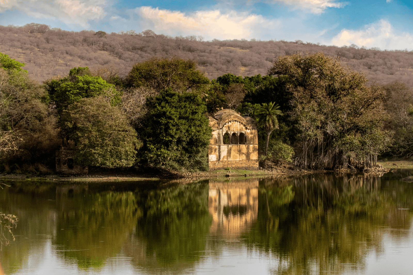 Agra to Ranthambore