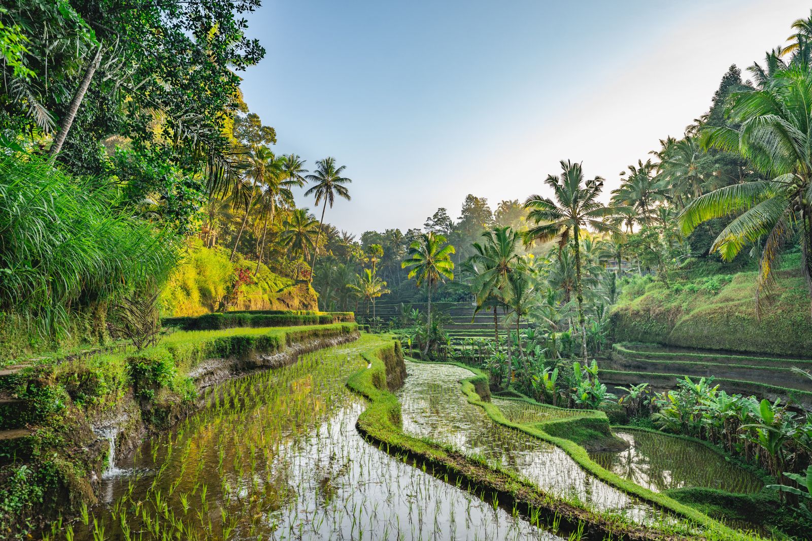 Bali Island