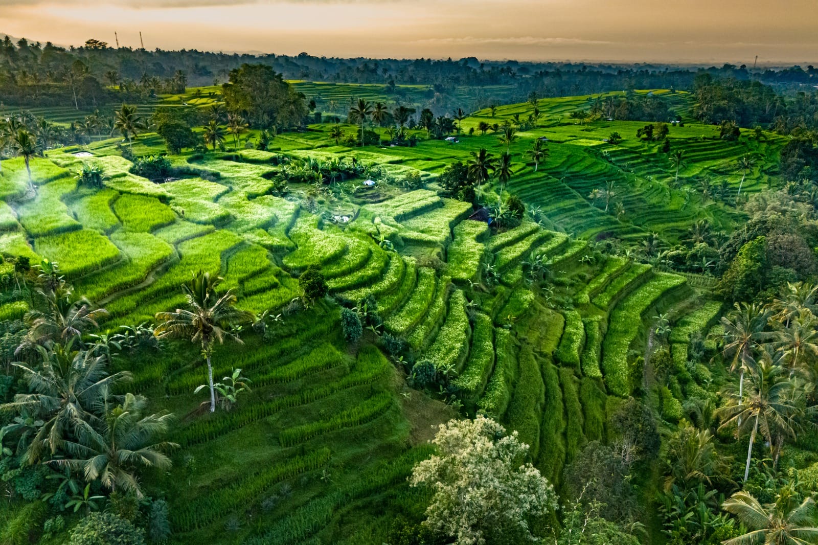 The Ring of Southeast Asia: From Bangkok to Bali Island