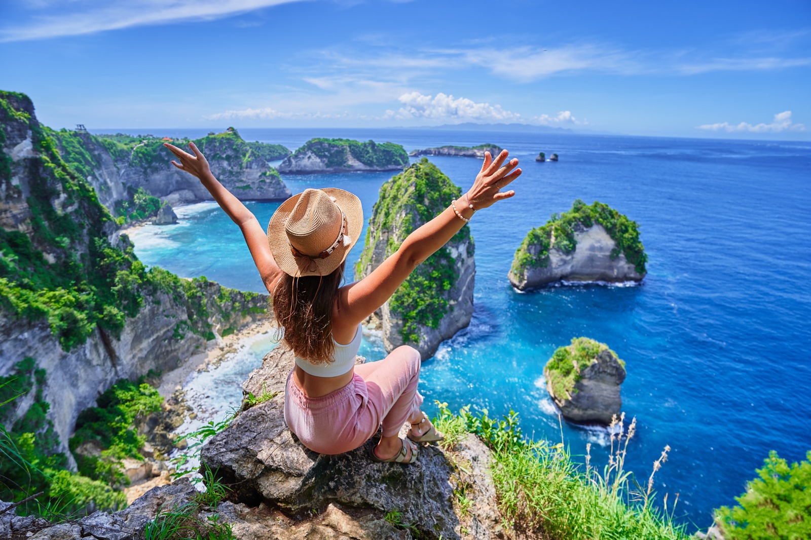 Highlights of Japan, Vietnam & Bali: Neon Lights & Emerald Heights