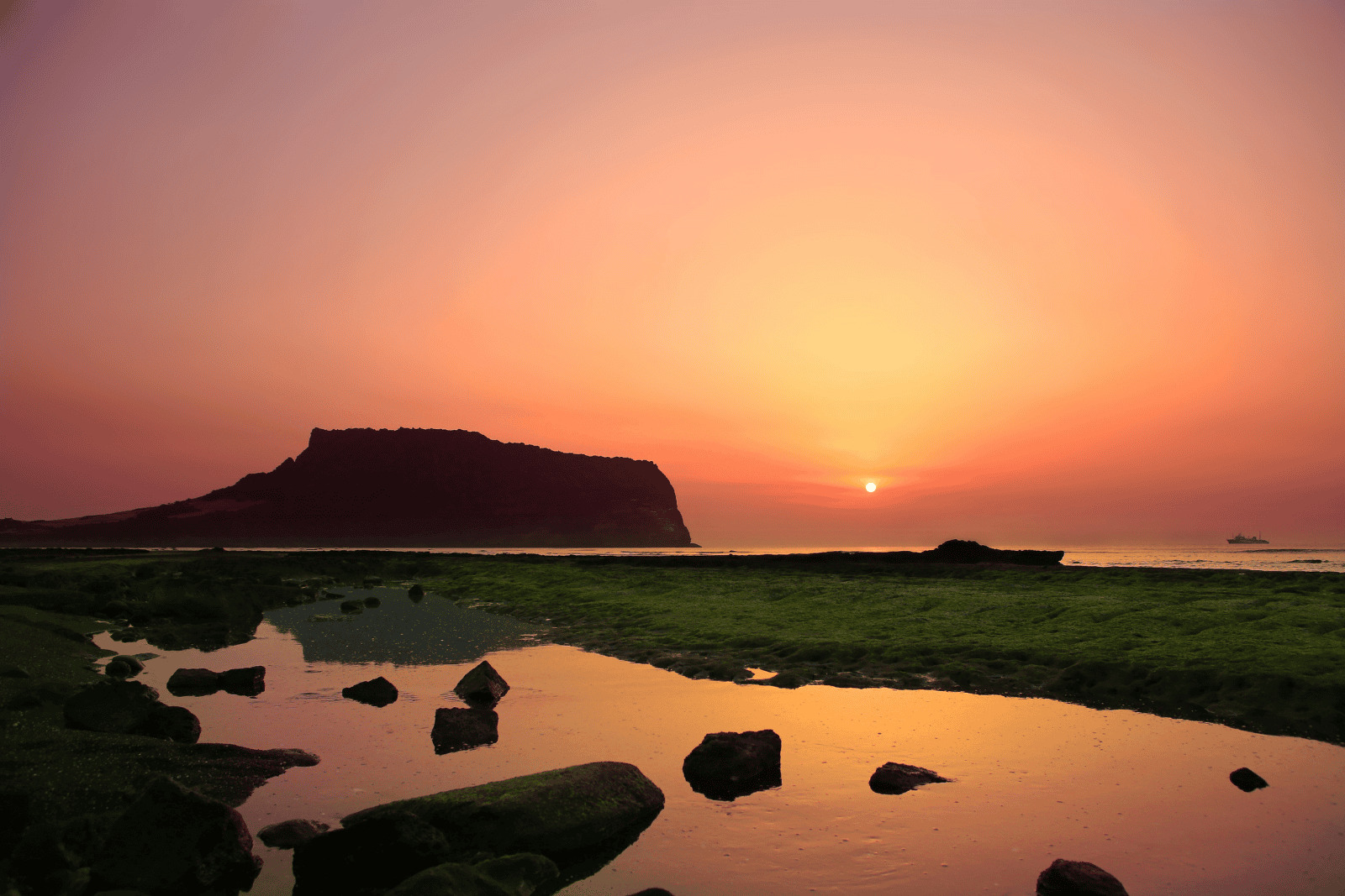 Jeju Island