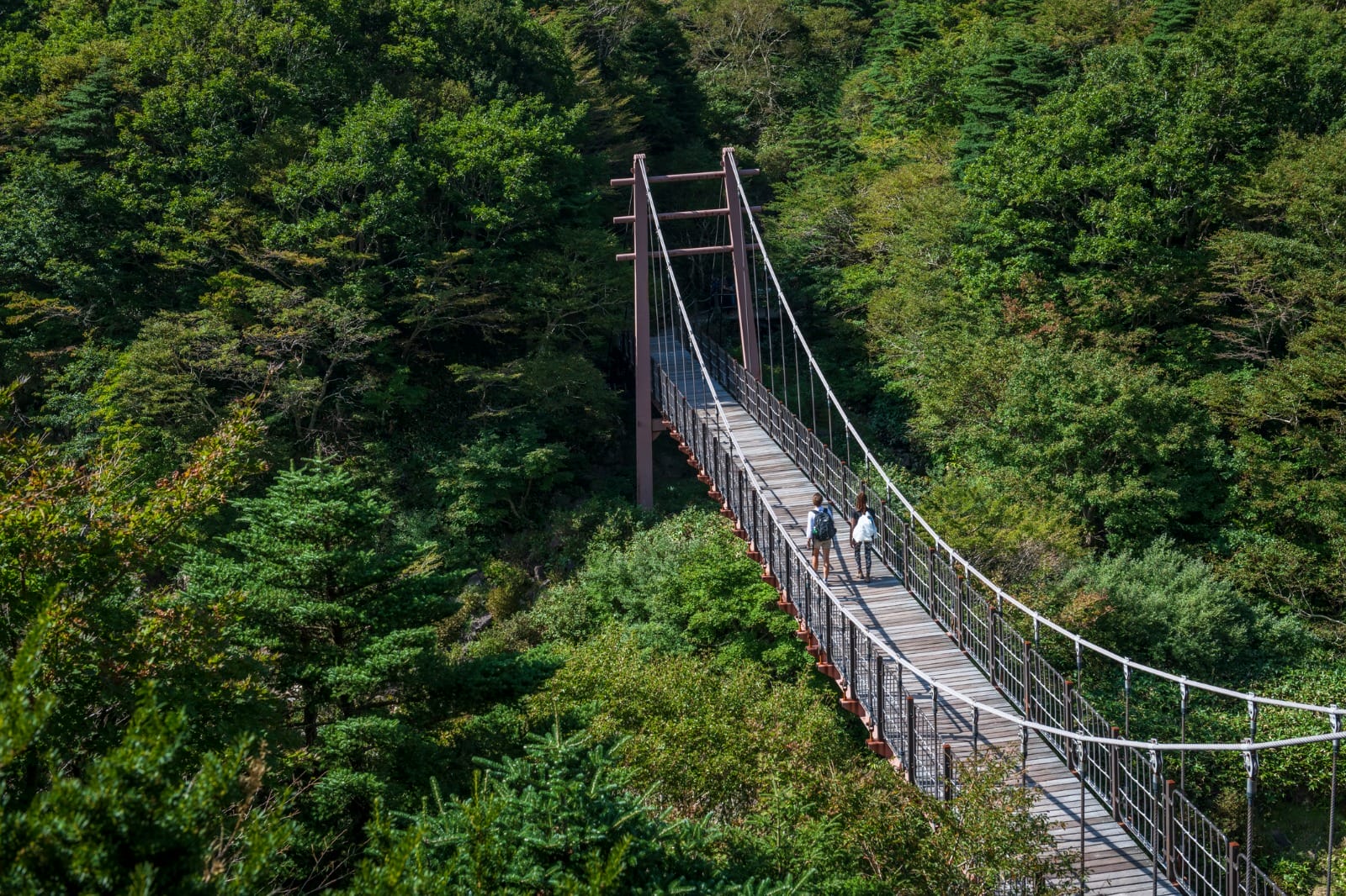 Jeju Island