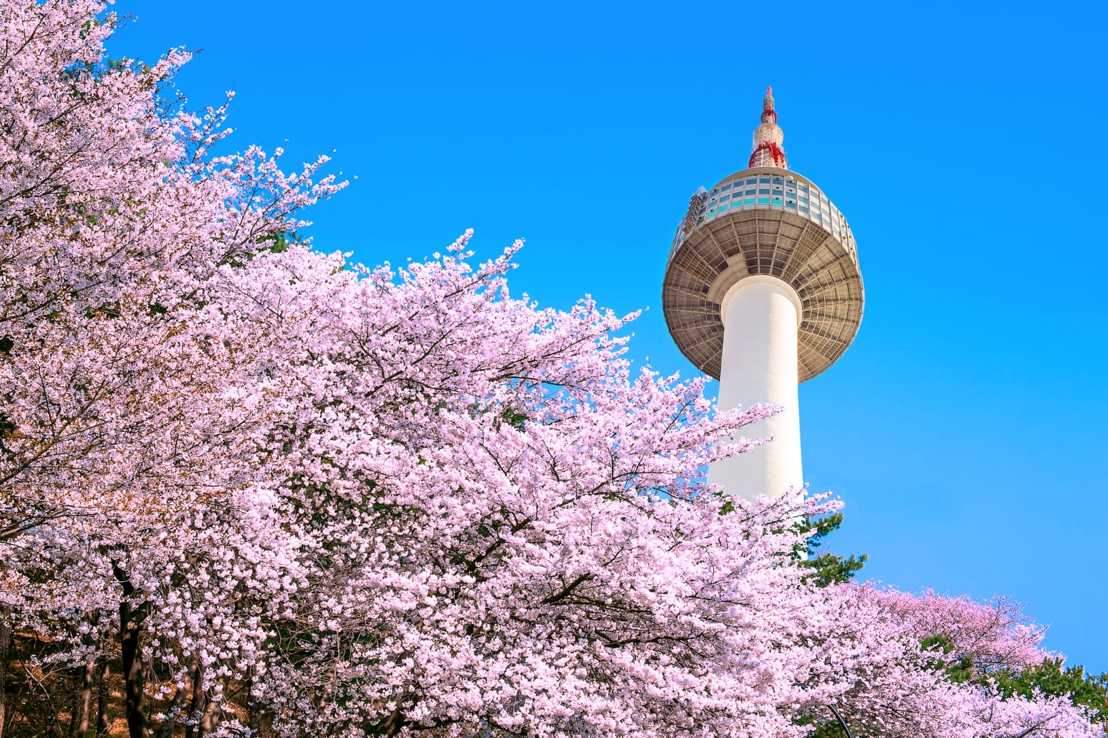 Osaka to Seoul
