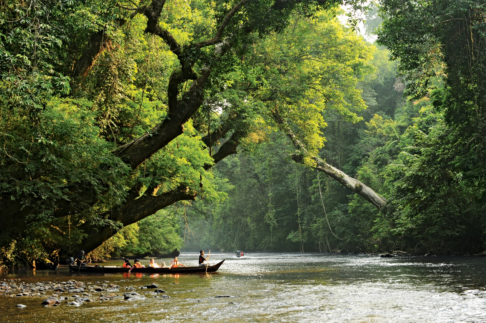 Mutiara Taman Negara
