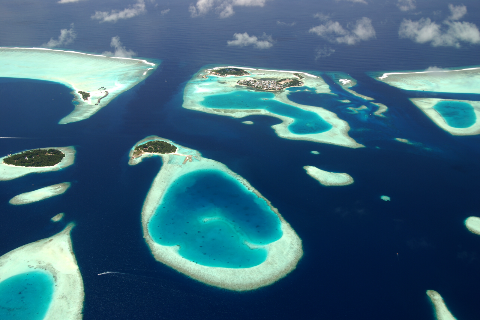 Malé