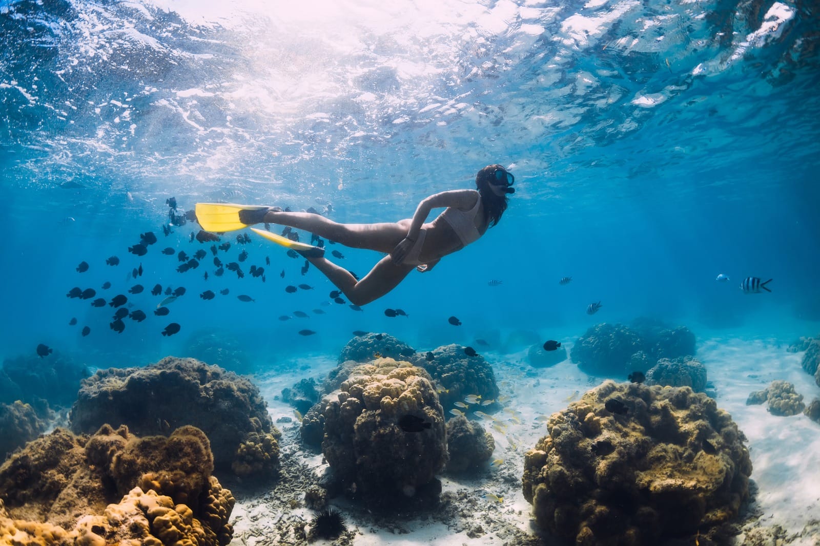Maldives