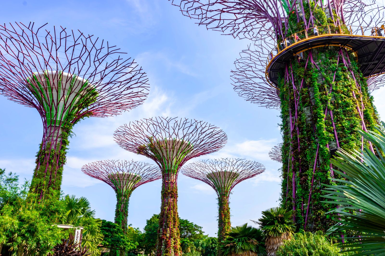 Singapore
