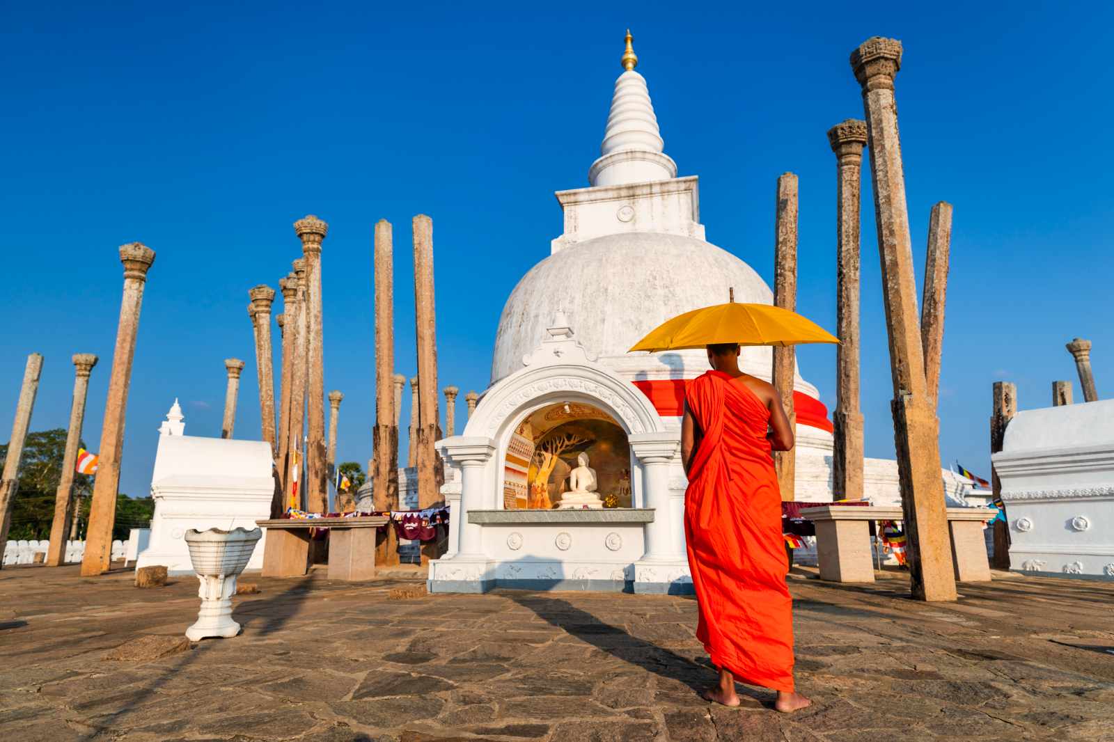 Dambulla to Anuradhapura to Dambulla