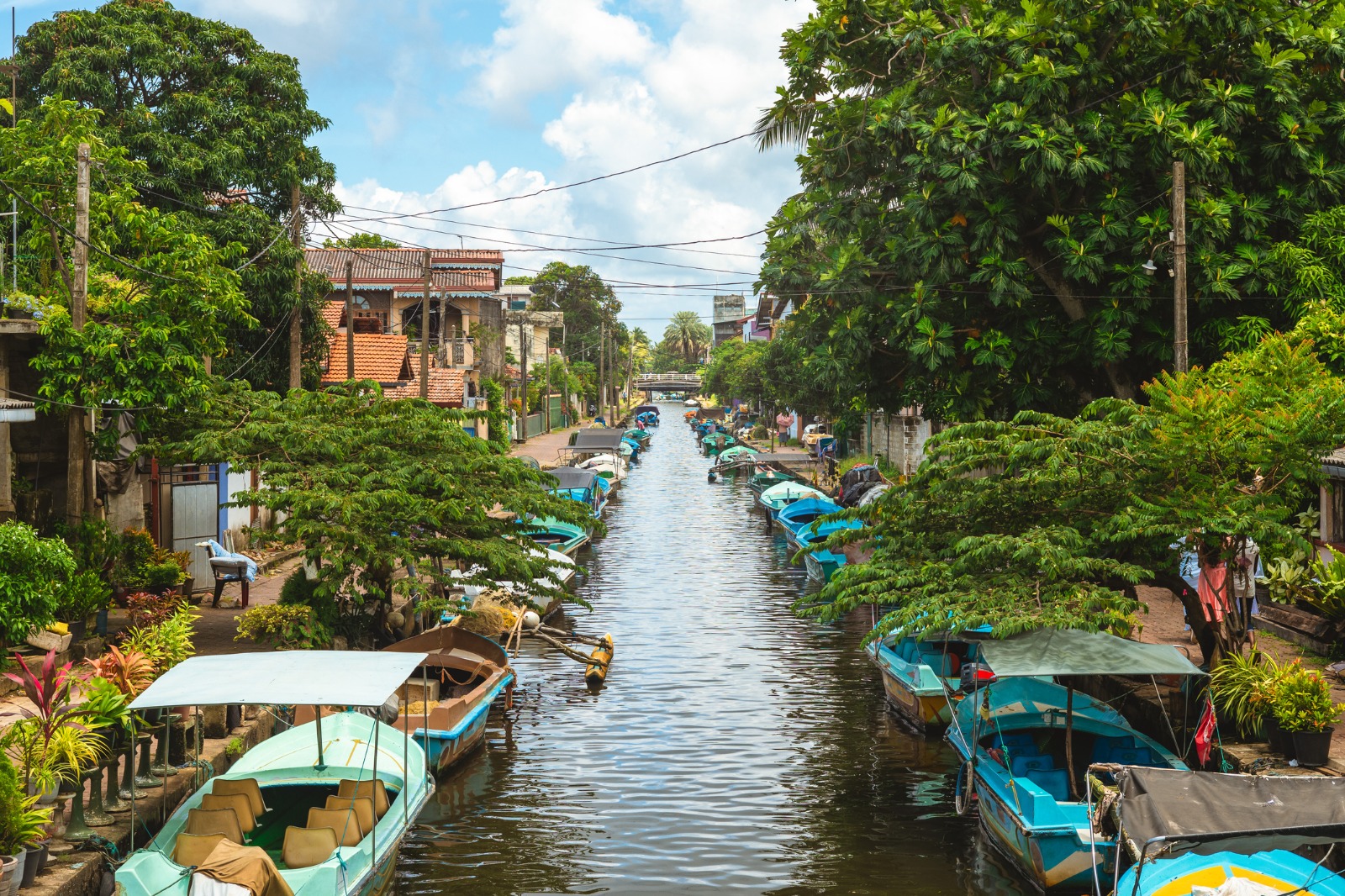 Arrive in Colombo and transfer to Negombo