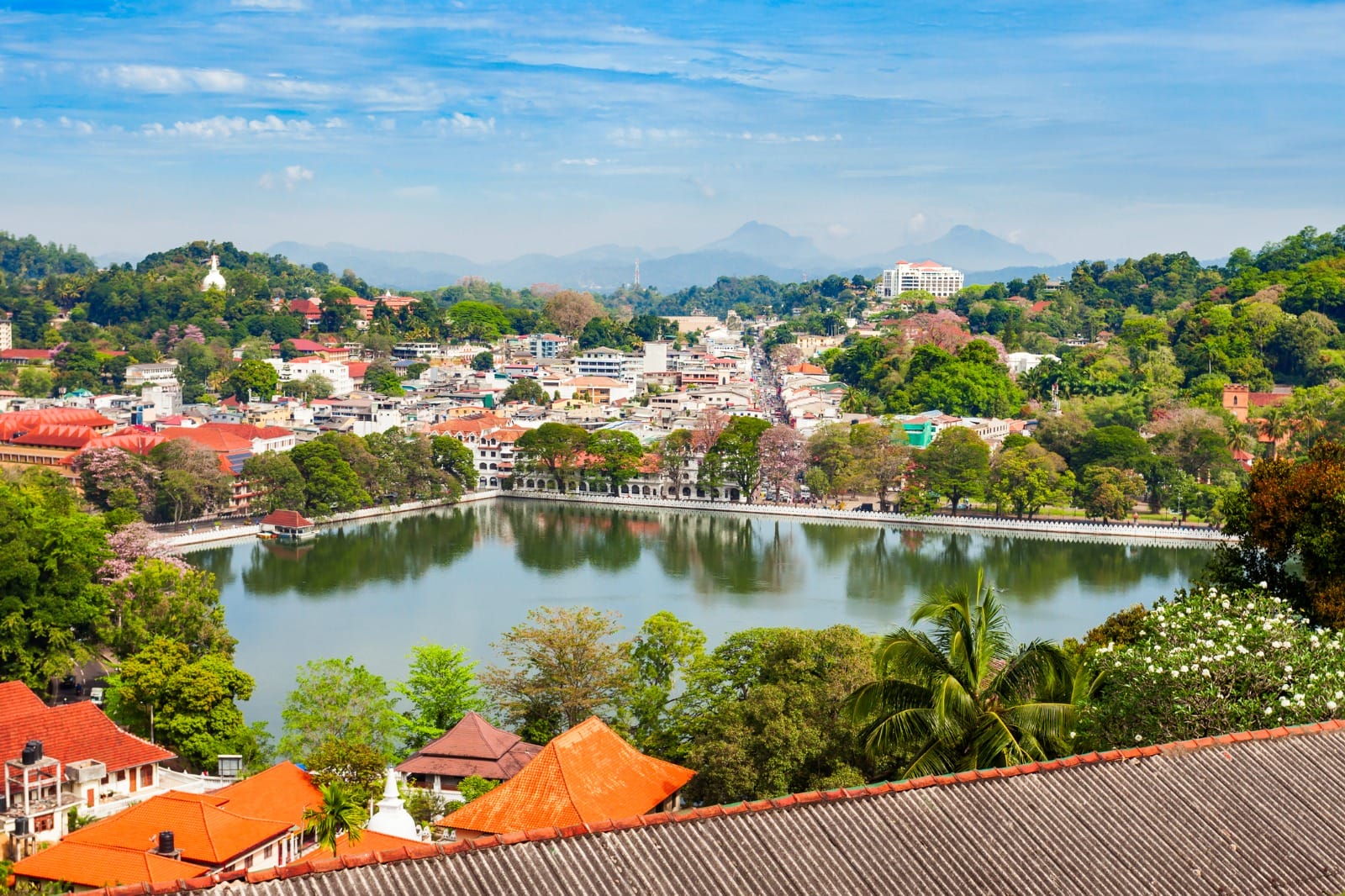 Dambulla to Kandy