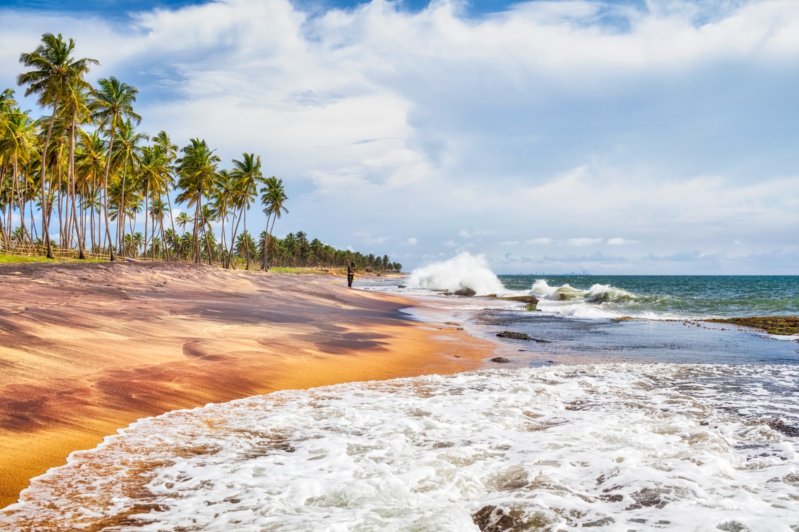 Negombo to Dambulla