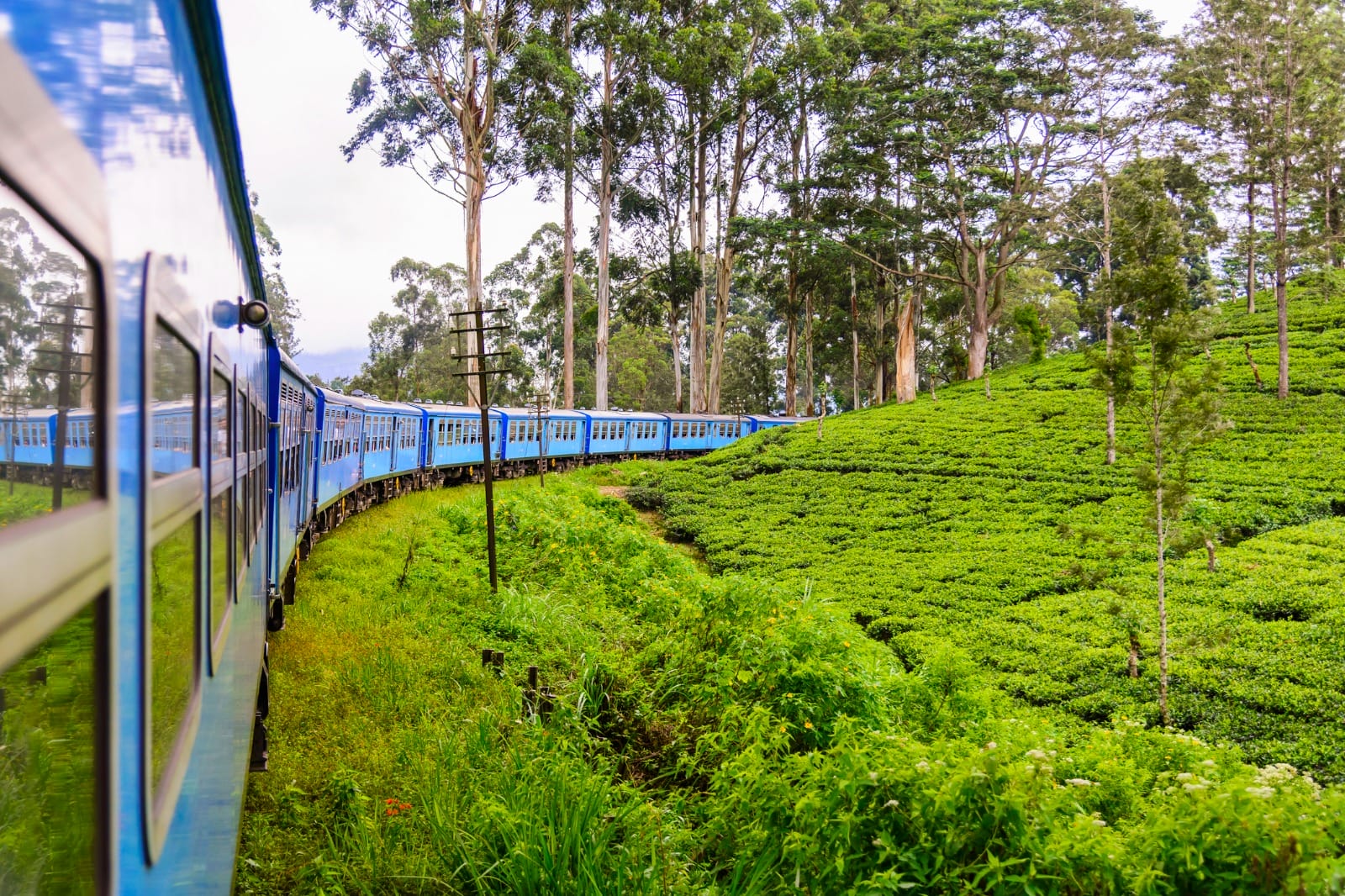 Kandy to Nuwara Eliya