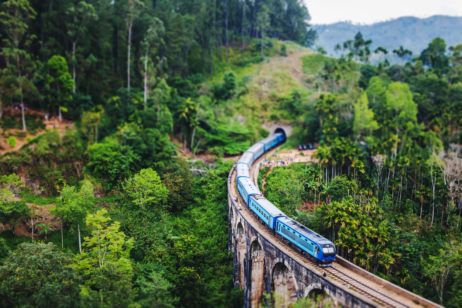 Spirit of Sri Lanka: Wild Safaris & Coastal Heritage Odyssey
