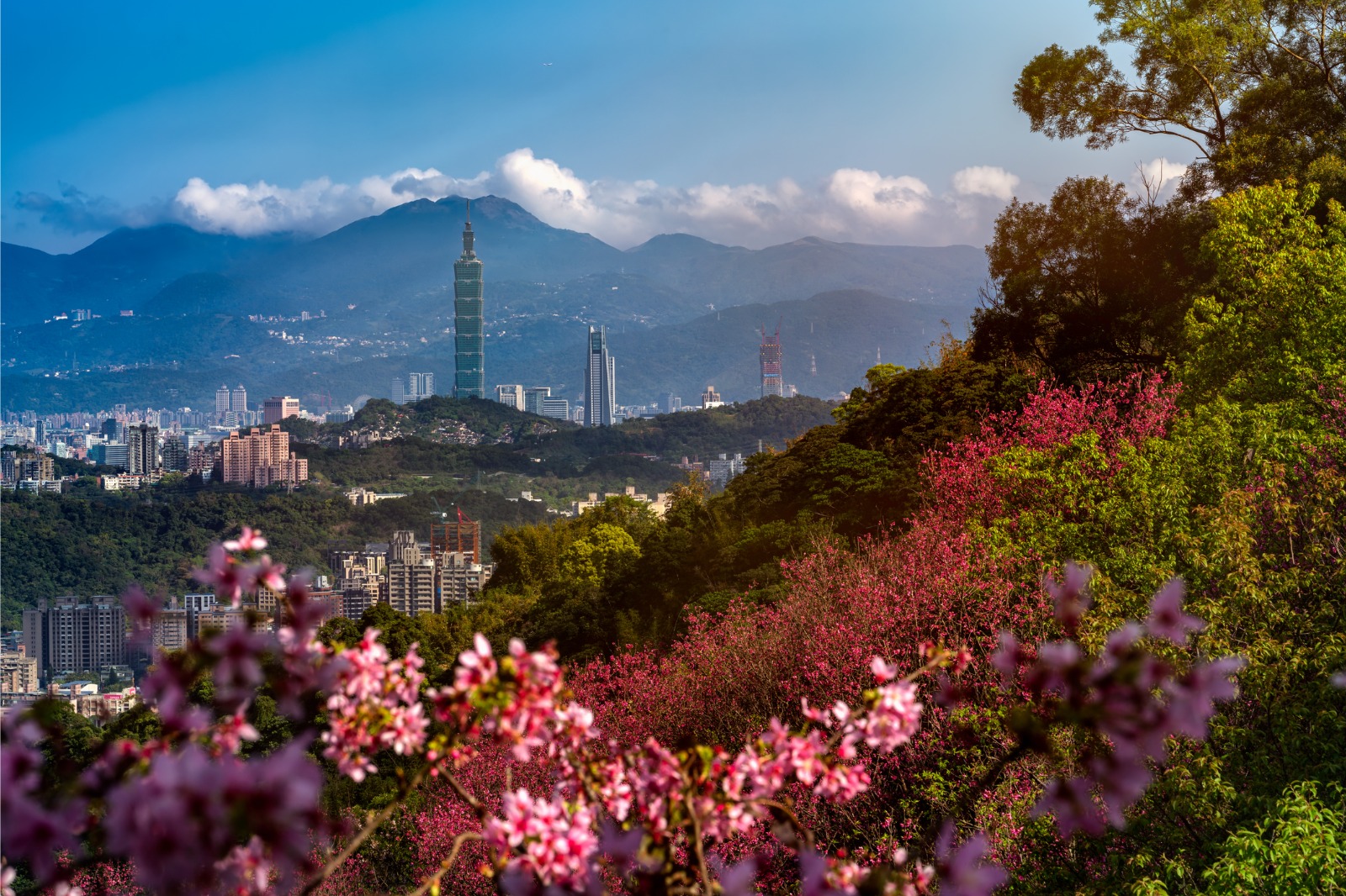 Experience Taiwan: Discover Taipei & Taichung