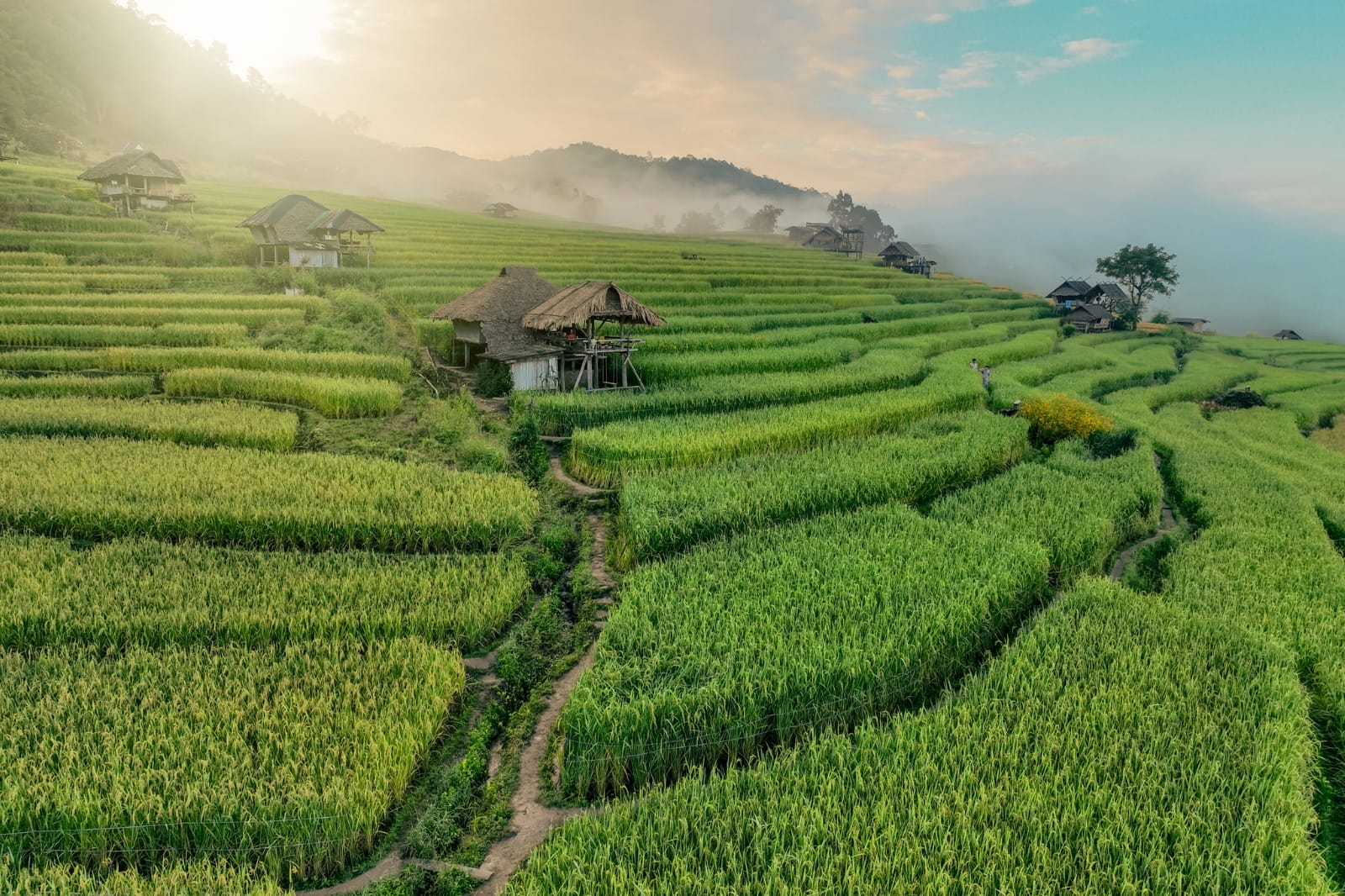 Chiang Mai