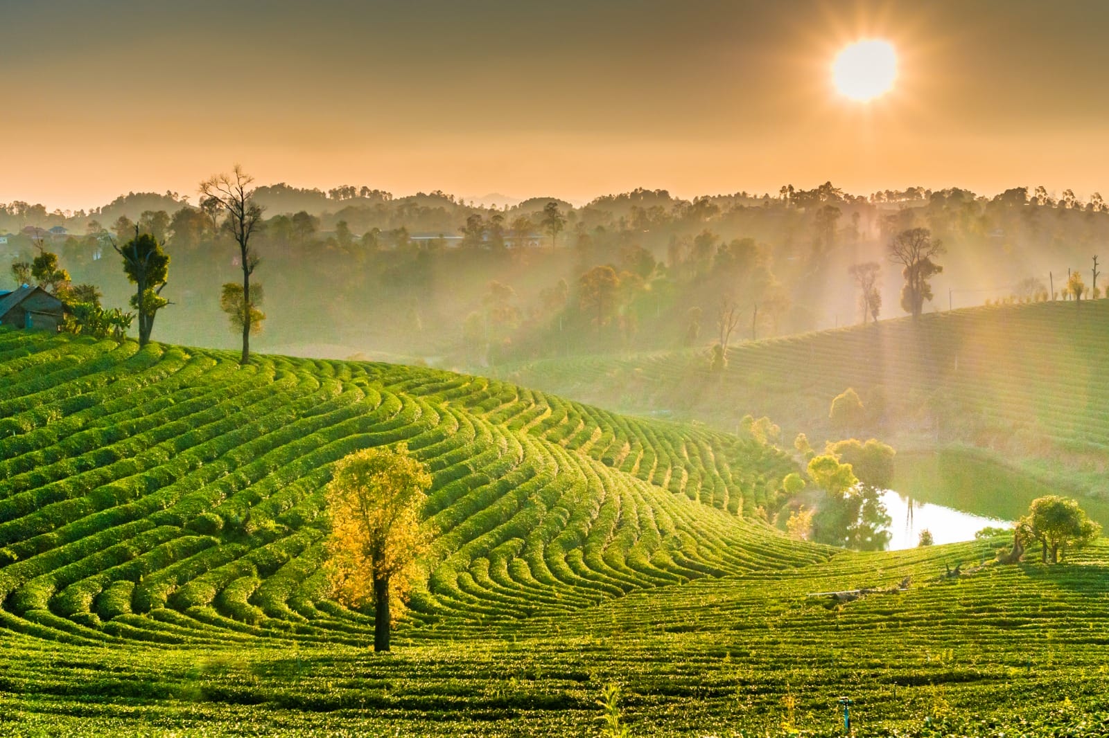 Bangkok to Chiang Rai