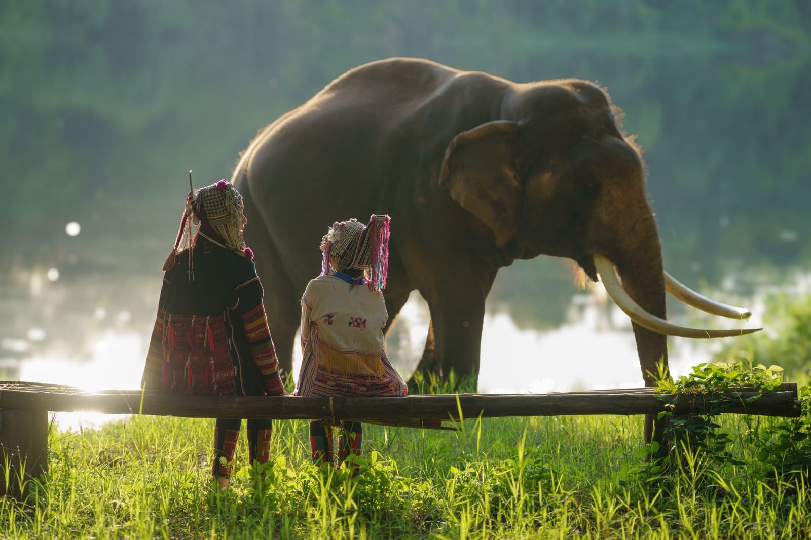 Experience Thailand: A Cultural Journey from Bangkok to Samui Island