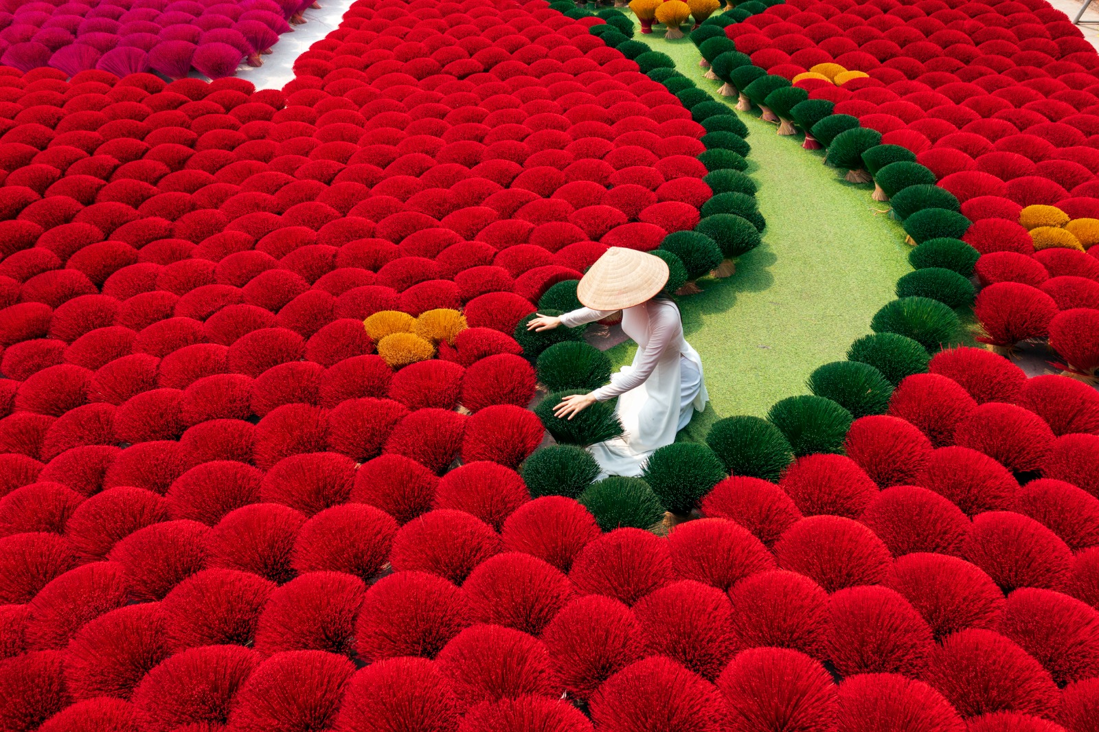 Highlights of Vietnam: Vietnam’s Classics in Style