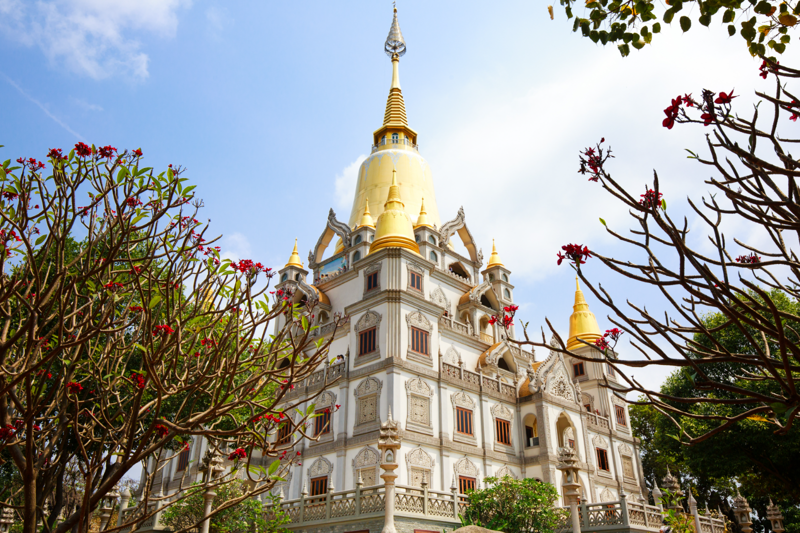 Vietnam Wonders Unlocked: Saigon Your Way