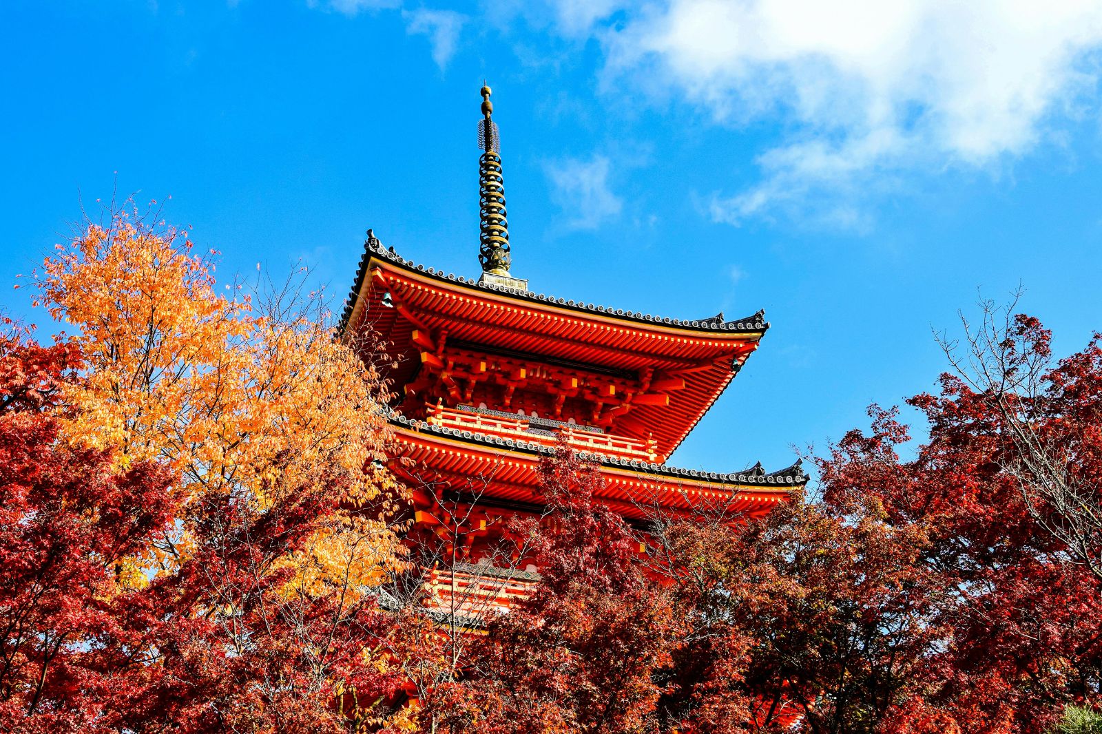 A Taste of Japan: Self-Guided Exploration of Tokyo, Kyoto, Osaka & Kanazawa