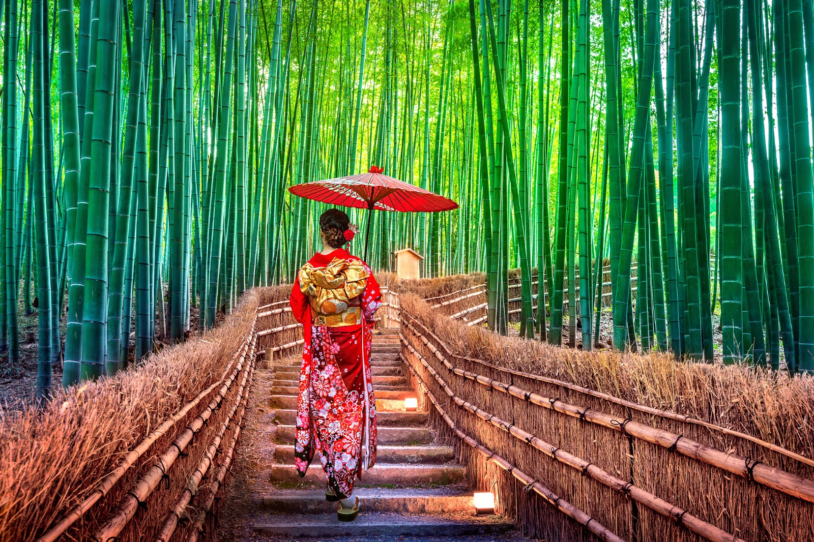 A Taste of Japan: Self-Guided Tokyo, Kyoto & Osaka with Shinkansen