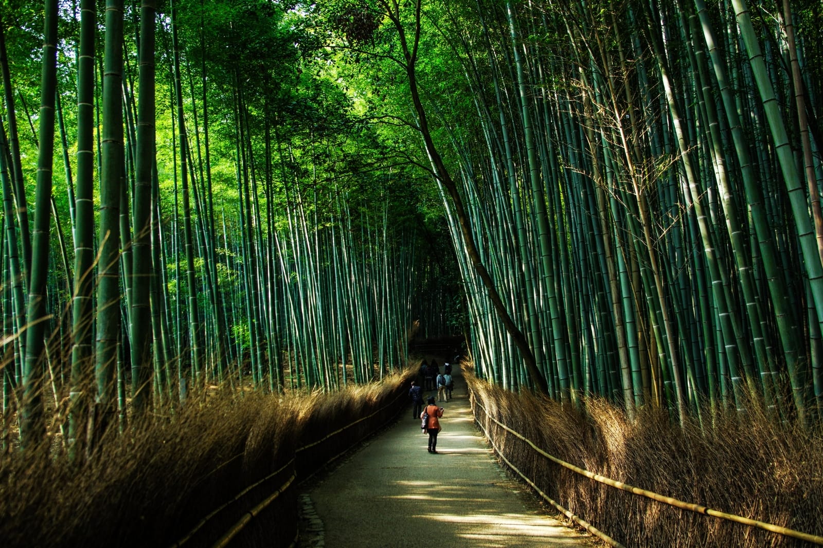 Kyoto