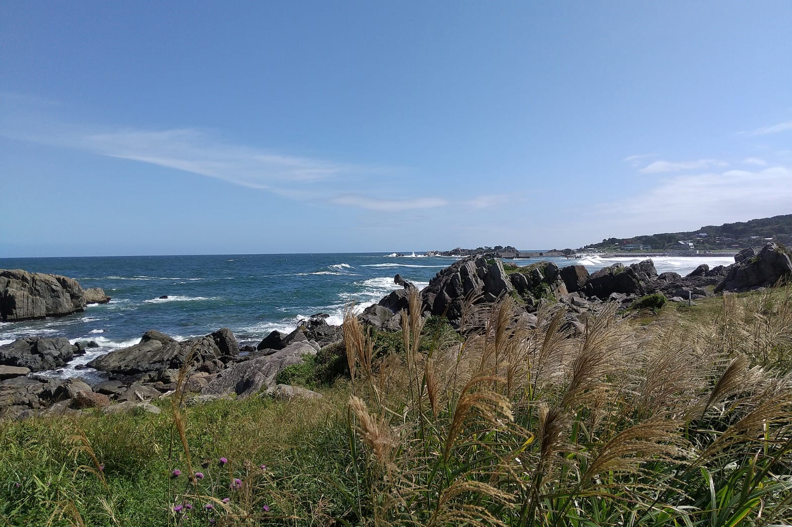 Hachinohe to Tanesashi Coast to Aomori