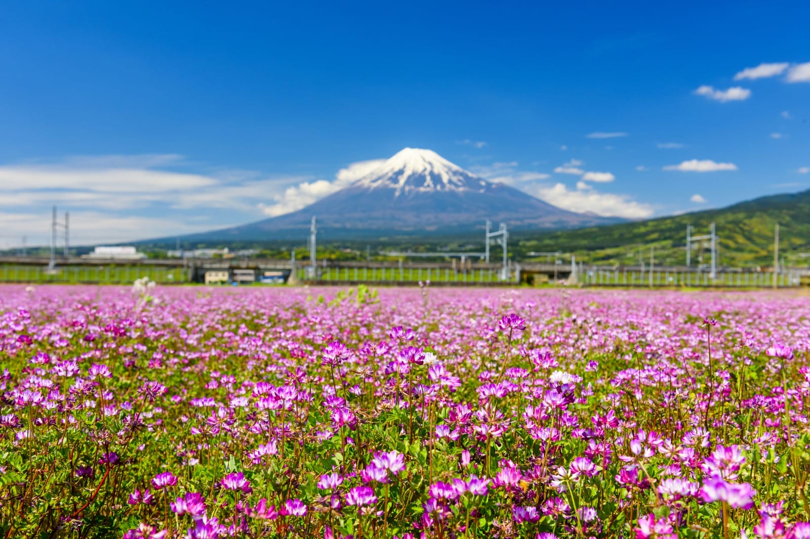 Tokyo
