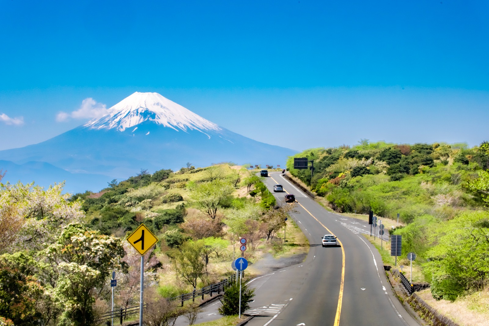 Summer Wonders of Japan: Tokyo, Kyoto, and Osaka Highlights