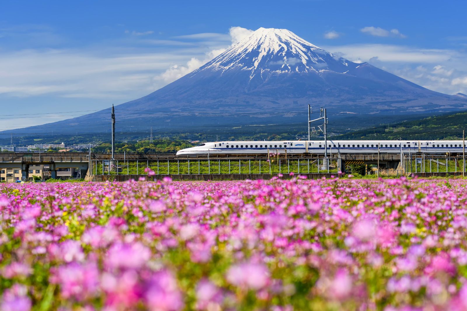The Highlights of Japan in a Week: A Shinkansen Adventure Through Iconic Sights